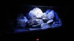 aquarium-von-malawi-einsteiger-mbuna-hardscape_vorne LED