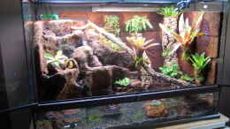 aquarium-von-junglist-welcome-to-the-jungle-aufgeloest_21.11.2013