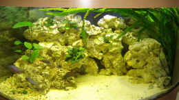 aquarium-von-marzena--christian-frenz-becken-3149_350 Liter Juwel Trigon