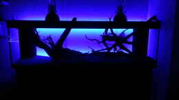 aquarium-von-seb-erstes-suedamerika-aquarium_LED Anischt ohne Wasser