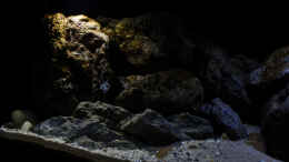 aquarium-von-stevens-720l-malawitank_linke Seite