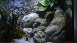 aquarium-von-falleb-steine-amp--sand_rechte Seite