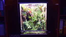 aquarium-von-junglist-green-box-verkauft_...mit neuer LED-Beleuchtung