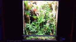 aquarium-von-junglist-green-box-verkauft_Green Box