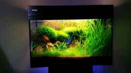 aquarium-von-aquasteve-little-green-hell_blaue Hintergrundbeleuchtung