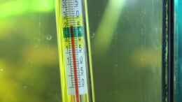 aquarium-von-ralf-kl-green-life_Herkömmliches Thermometer,genauer