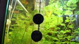 aquarium-von-ralf-kl-green-life_JBL CO2 Flipper,links Heizkabel Bodenfluter