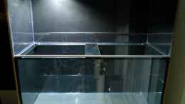 aquarium-von-marco-mein-kleines-diskus-paludarium_2x10w LED-Fluter