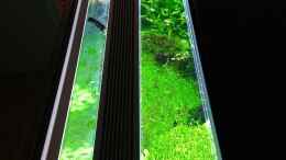 aquarium-von-c-na-vivaline-330-aufgeloest-2020_Eheim Power LED+ fresh daylight