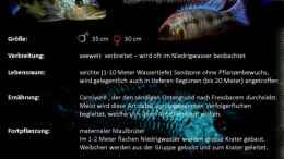 aquarium-von-thetoxicavenger-mdima-mchenga_