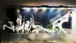 aquarium-von-betta-chris-039-amazonas-scape039-_Hardscape fertig bepflanzt. Kann also los gehen...