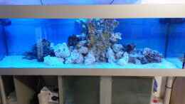 Aquarium einrichten mit Lebendgestein hinzugefügt nun abwarten;))!!