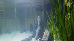 aquarium-von-elsiman-elsis-trophochromistank_Seitenansicht