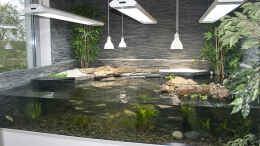 Aquarium einrichten mit Aqua-Terrarium 300x220x60 mit 1700 l Wasser und