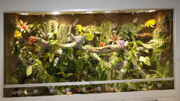 Aquarium einrichten mit 290 cm langes Regenwaldterrarium für Smaragd-Warane