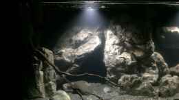 aquarium-von-dresdn3r-castle-of-malawi_Linke Beckenseite-ohne Besatz