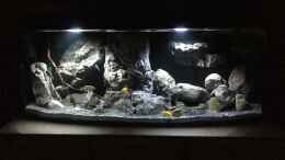 aquarium-von-dresdn3r-castle-of-malawi_Am Abend...wird langsam dunkel