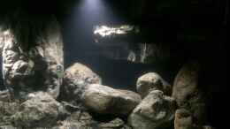 aquarium-von-dresdn3r-castle-of-malawi_Rechte Beckenseite-ohne Besatz