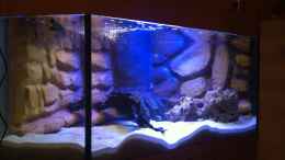 aquarium-von-ecky-eckys-malawi-becken_LED Beleuchtung Dämmerung