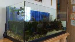 aquarium-von--andreas--deep-blue-sea_Wasserwechsel 