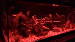 aquarium-von--andreas--deep-blue-sea_