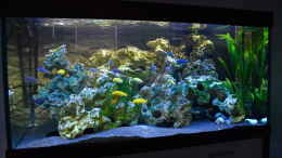 aquarium-von-lordi-becken-32393_Aquarium Hauptansicht von Becken 32393