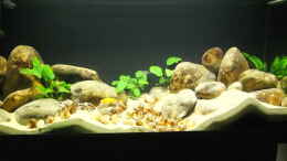aquarium-von-axolotl-tanganjikatuempel-nur-noch-als-beispiel_Sanddünen durch die multifasciatus