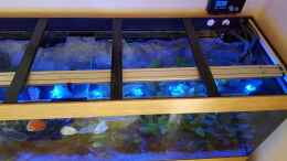 aquarium-von-guenter-karin-becken-32431_3D Rückwandfilterung