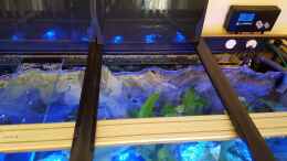 Aquarium einrichten mit 3D Rückwandfilterung