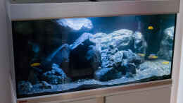 aquarium-von-77markus-malawi----ostafrika_Ansicht