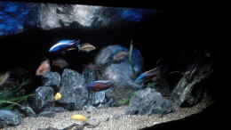 aquarium-von-heike-fuchs-becken-32689_