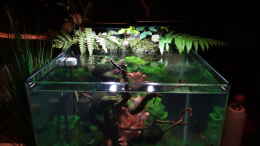 aquarium-von-mcfly-miniunterwasserwelt_