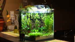 aquarium-von-mcfly-miniunterwasserwelt_