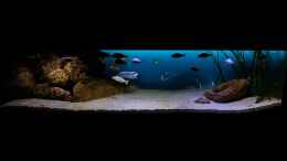 aquarium-von-limited-deep-blue-malawi_