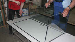 Aquarium einrichten mit Montage des Glaskörpers im Aquarienkontor