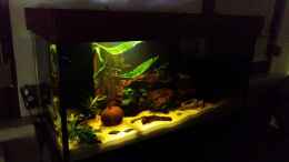 aquarium-von-svendergrosse-becken-33061_eine der 2 Lampen schaltet sich gerade an
