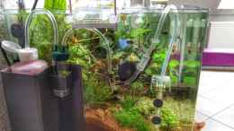 Aquarium einrichten mit Dennerle CO2 Pflanzen-Dünge-Set BIO 60 mit Ventil