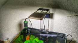 aquarium-von-solvin-aufzuchtbecken---perlhuhnbaerblinge_Dennerle Power LED 5.0, Tetra HT 50 Heizregler und Dennerle 
