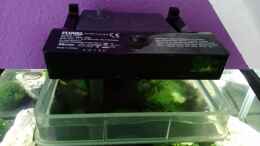 aquarium-von-fischfluesterer-mein-erstes-nano_