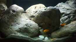 aquarium-von-mel-540-l-malawi-rock_Riverstone L, I, K, H, Q