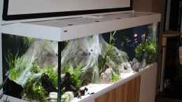 aquarium-von-wabi-suedamerika-mit-kompromissen--_