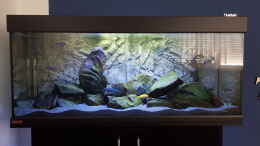 aquarium-von-s-g-black-stone-tank_