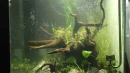 aquarium-von-ayahuasca-i-love-stones--again-_