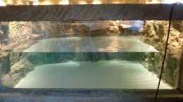 aquarium-von-hayabusa-rochen-becken-potamotrygon_1. Füllung