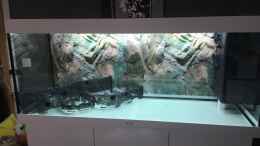 aquarium-von-olaf-brandt-becken-33471_Terassenbau aus Plexiglas 