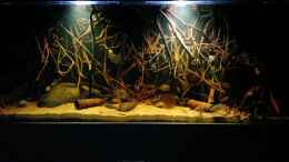 aquarium-von-alien2k-amazonas-wurzelbiotop--nur-noch-als-beispiel-_Gesamtansicht wärend der Abenddämmerung