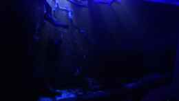 aquarium-von-raven887-nebenfluss-des-rio-negros_Mondlicht 