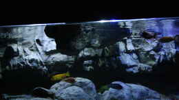 aquarium-von-skipper1202-malawi-und-beton_Vor Umgestaltung 