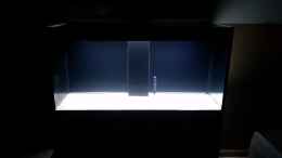 aquarium-von-phillip92-incpiria--400-diskus_Schwarze  Rückwandfolie und Sand eingefüllt 