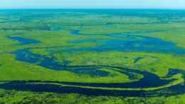 aquarium-von-berlin42-100cm-flussufer-mato-grosso_Das Pantanal-Feuchtgebiet in Brasilien ist der Ursprung mein